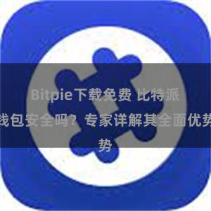 Bitpie下载免费 比特派钱包安全吗？专家详解其全面优势