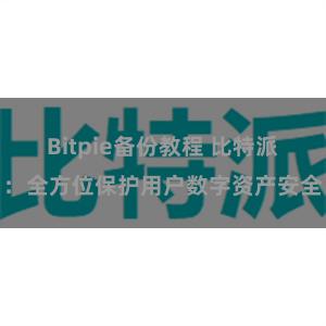 Bitpie备份教程 比特派：全方位保护用户数字资产安全