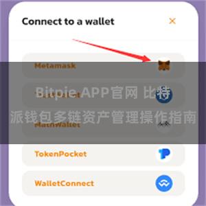 Bitpie APP官网 比特派钱包多链资产管理操作指南