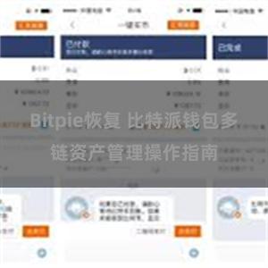 Bitpie恢复 比特派钱包多链资产管理操作指南