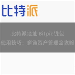 比特派地址 Bitpie钱包使用技巧：多链资产管理全攻略