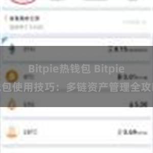 Bitpie热钱包 Bitpie钱包使用技巧：多链资产管理全攻略