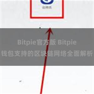 Bitpie官方版 Bitpie钱包支持的区块链网络全面解析