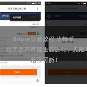 Bitpie安装教程 比特派钱包：数字资产管理生态进化，无限可能！