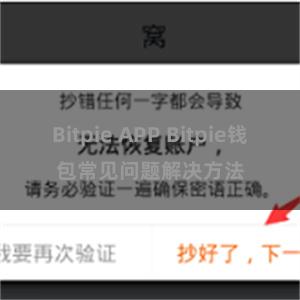 Bitpie APP Bitpie钱包常见问题解决方法