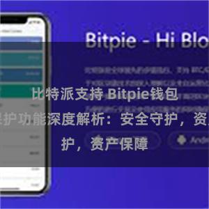 比特派支持 Bitpie钱包隐私保护功能深度解析：安全守护，资产保障