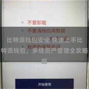 比特派钱包安全 快速上手比特派钱包，多链资产管理全攻略