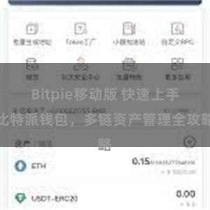 Bitpie移动版 快速上手比特派钱包，多链资产管理全攻略