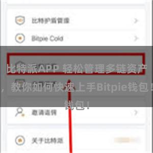 比特派APP 轻松管理多链资产，教你如何快速上手Bitpie钱包！