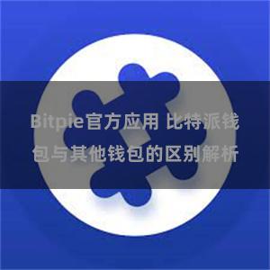 Bitpie官方应用 比特派钱包与其他钱包的区别解析