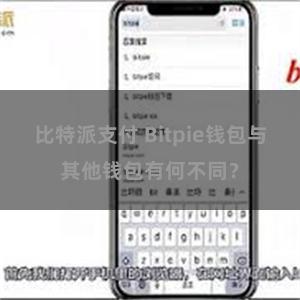 比特派支付 Bitpie钱包与其他钱包有何不同？