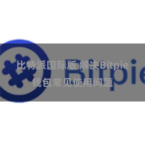 比特派国际版 解决Bitpie钱包常见使用问题