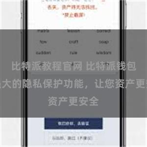 比特派教程官网 比特派钱包：强大的隐私保护功能，让您资产更安全