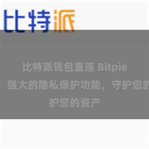 比特派钱包直连 Bitpie钱包：强大的隐私保护功能，守护您的资产