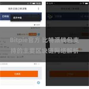 Bitpie官方 比特派钱包支持的主要区块链网络解析