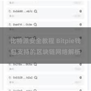 比特派安全教程 Bitpie钱包支持的区块链网络解析