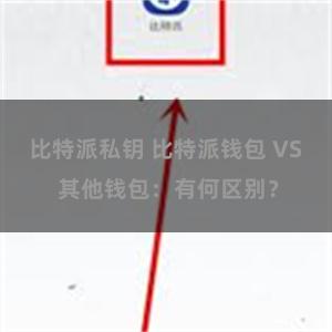 比特派私钥 比特派钱包 VS 其他钱包：有何区别？