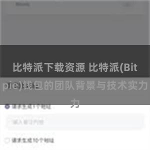 比特派下载资源 比特派(Bitpie)钱包的团队背景与技术实力