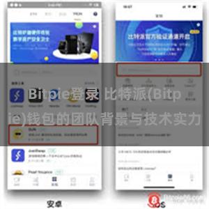 Bitpie登录 比特派(Bitpie)钱包的团队背景与技术实力