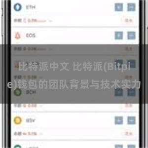 比特派中文 比特派(Bitpie)钱包的团队背景与技术实力