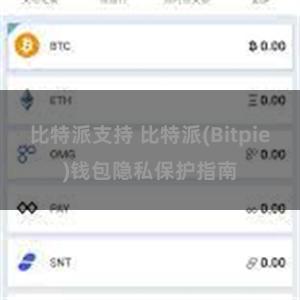 比特派支持 比特派(Bitpie)钱包隐私保护指南