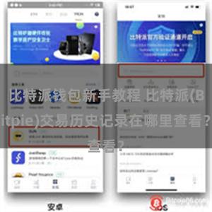 比特派钱包新手教程 比特派(Bitpie)交易历史记录在哪里查看？