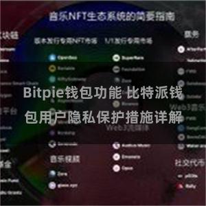 Bitpie钱包功能 比特派钱包用户隐私保护措施详解