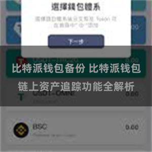比特派钱包备份 比特派钱包链上资产追踪功能全解析