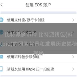比特派多币种 比特派钱包(Bitpie)的团队背景和发展历史揭秘