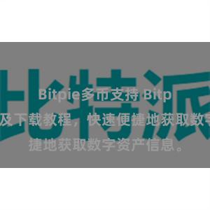 Bitpie多币支持 Bitpie官网地址及下载教程，快速便捷地获取数字资产信息。