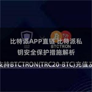 比特派APP直链 比特派私钥安全保护措施解析