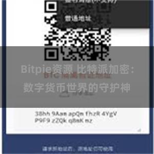 Bitpie资源 比特派加密：数字货币世界的守护神