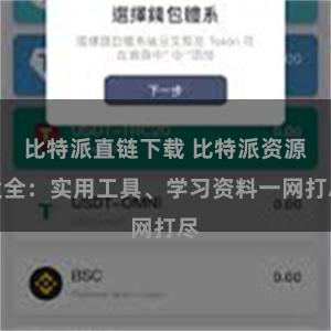 比特派直链下载 比特派资源大全：实用工具、学习资料一网打尽