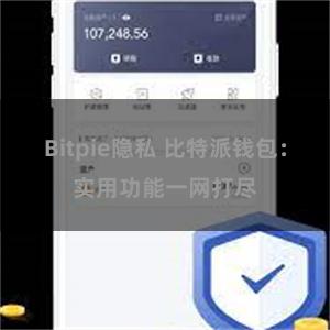 Bitpie隐私 比特派钱包：实用功能一网打尽