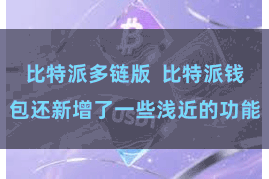 比特派多链版  比特派钱包还新增了一些浅近的功能