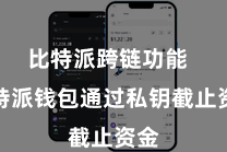 比特派跨链功能  比特派钱包通过私钥截止资金