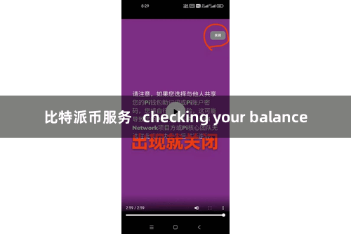 比特派币服务   checking your balance